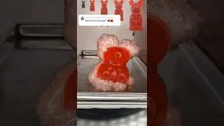 Want A Gummy Bear??? 🤔 