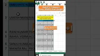 AutoFit Columns and Rows Width And Height Quickly 