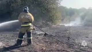 В поселке Аглос под Новочеркасском произошел крупный ландшафтный пожар.