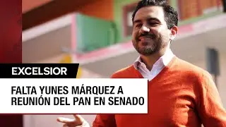 Sin rastro de Yunes Márquez a horas de votar reforma judicial