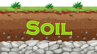 Soil l Soil formation l Soil profile l Soil erosion and Soil Conservation l Class 5