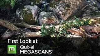 Basics of Quixel Megascans