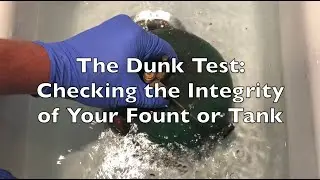 The Dunk Test: Checking the Integrity of Your Fount or Tank