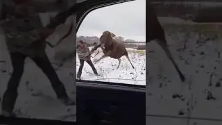 Рамазан на охоте 🤣🤣
