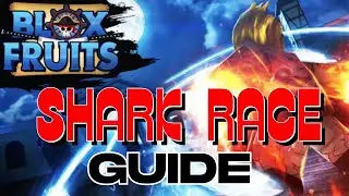 Shark Race Guide Blox Fruits (For Beginners)