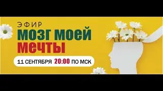 Мозг моей мечты