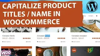 How to Capitalize Product Titles in Shop & Single Product Pages in WooCommerce | Product Names