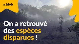 Biodiversité : une forêt tropicale emblématique d’Équateur reprend vie | Actu de science