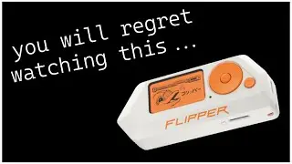 yall asked for a flipper video, this isnt my fault...