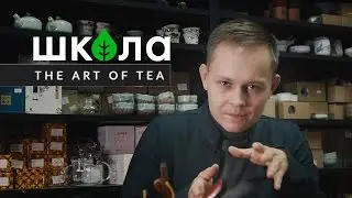 Чайная лекция. Введение в чай. История чая | Art of Tea, китайский чай