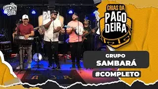 Pagodeira - Sambará (Crias da Pagodeira)