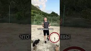 #72 КАК ТЕБЕ В РАБОТЕ ПОМОГЛО ТВОЕ ВЫСШЕЕ ОБРАЗОВАНИЕ? 