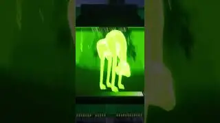 Кто такой Монстр Жираф | Zoonomaly