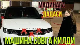 Журналист Мадинага Дадаси бугун машина совга килди