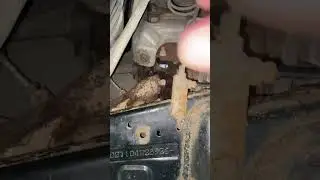 ТОЙОТА номер ДВС 1VD#engine #automobile #motor #detailing #vin #mechanic #авто #number #автоподбор