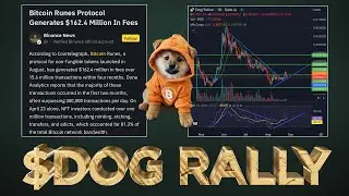 $DOG & Runes Bull Rally in Early Stages 📈