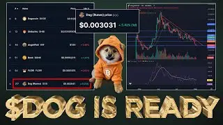 $DOG is Ready to Explode 🧨💥