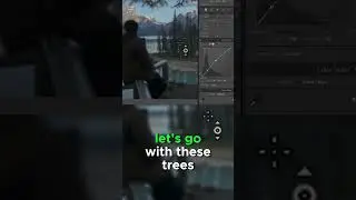 How To Use Lightroom TONE CURVES In 60 Seconds! 