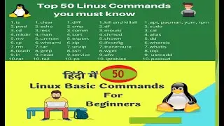 Linux Basic Commands | Basic Commands of Linux | 