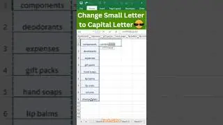 How to Change Small Letter to Capital Letter in Excel