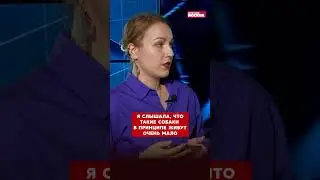 Посмотрите, как выглядит самая высокая собака в мире!