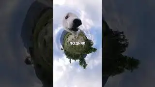 Самое милое 360 видео 