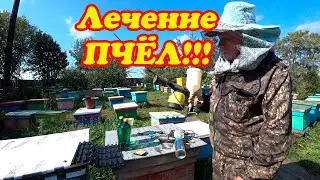 ЛЕЧЕНИЕ ПЧЁЛ ДЫМ ПУШКОЙ ОТ КЛЕЩА ВАРРОА, КАКАЯ ПУШКА ЛУЧШЕ?