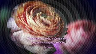 Я ЛЮБЛЮ СЕБЯ • Медитативная Практика Полюбить И Принять  Себя и Свою Внешность • асмп медитация