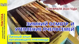 Осмотр пчел 18 февраля. Пчела сыплется?! Утепление гнезда. Запасные маточки в нуклеусах Мини плюс.