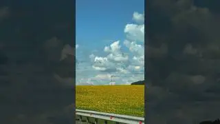 Умейте останавливаться!