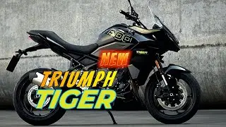 Want the BEST Motorcycle Experience? Watch This Now || Triumph Tiger 800 Sport