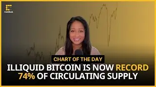 Illiquid Bitcoin Now Accounts for a Record 74% of BTC's Circulating Supply | Chart of the Day