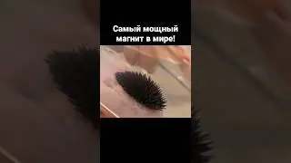 Самый мощный магнит в мире!