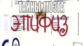 Useful information!! Epiphysis! Secrets of the brain.