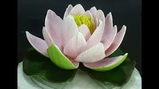 КУВШИНКА (ВОДЯНАЯ ЛИЛИЯ,  WATER LILY) ИЗ ПОЛИМЕРНОЙ ГЛИНЫ.  (ЧАСТЬ 1)