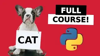 Image classification with Python FULL COURSE | Computer vision