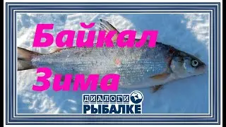 Диалоги о рыбалке - 093 / Байкал. Зима