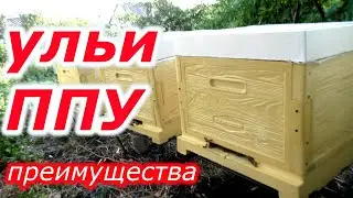 Чем хороши ульи ППУ?