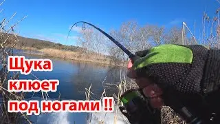 ЩУКА клюет под ногами Ловля рыбы на реке Рыбалка на спиннинг в марте