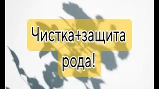 ЧИСТКА+ЗАЩИТА РОДА