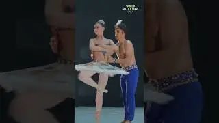 WORLD BALLET STARS GALA, June 10, 2024 at the Théâtre du Léman, Geneva