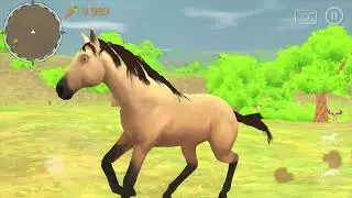 WILD HORSE SPIRIT ADVENTURE Season ONE Trailer