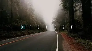 Forest Presets - Lightroom Mobile Presets DNG | Outdoor Presets | Wood Preset | Fall Preset