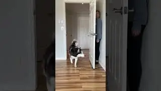 My dog has had enough.. 😂 
