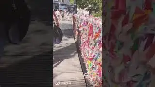 #shorts