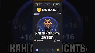 Где взять друзей в Hamster Kombat? Друзья для Хамстер Комбат. 