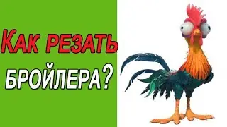 Как резать бройлера | Забой кур в домашних условиях