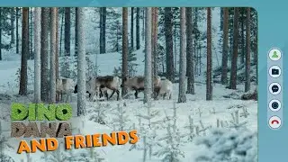 Fun Facts About Caribou! | Jane Season 2 | Apple TV+