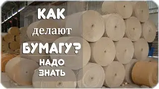 Из чего и как делают бумагу?