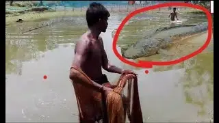 Amazing big fishing catching in the pond. people catch fish By using the net.